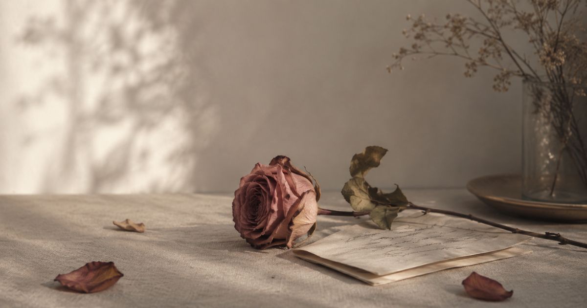 失恋の花言葉と感情の整理を象徴する枯れ薔薇と別れの手紙