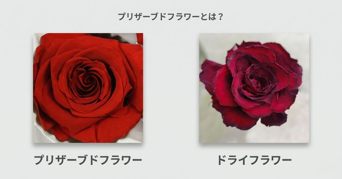 プリザーブドフラワーとドライフラワーの違い比較｜見た目と質感の違い