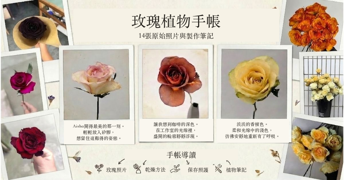 原始乾燥玫瑰照片拼貼的植物手帳封面，附繁體標題與製作筆記