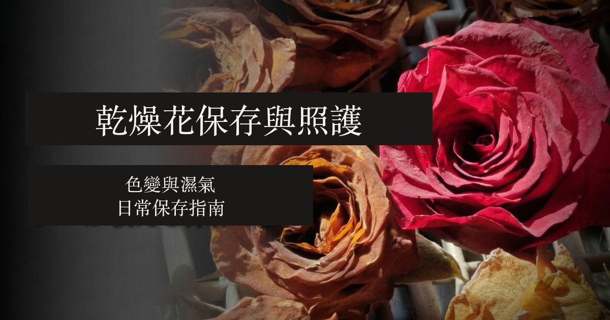 原圖中不同色澤的玫瑰，附繁體保存照護標題