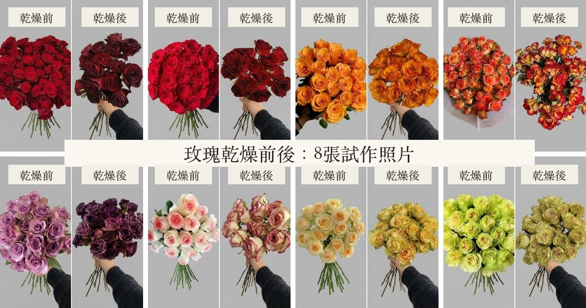 8組玫瑰乾燥前後照片拼貼，附繁體標題與前後標示
