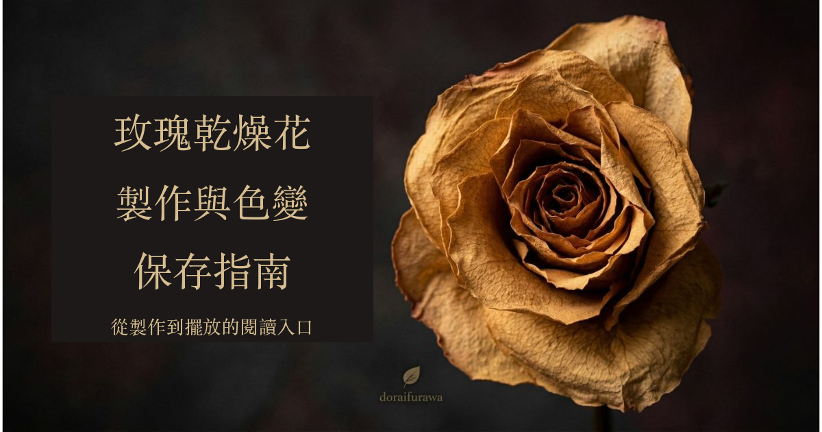 深色背景上的古金色乾燥玫瑰，附繁體製作、色變與保存指南標題