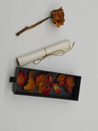 一輪の枯れ薔薇、紐で結んだ手紙、花びらを入れた黒い箱