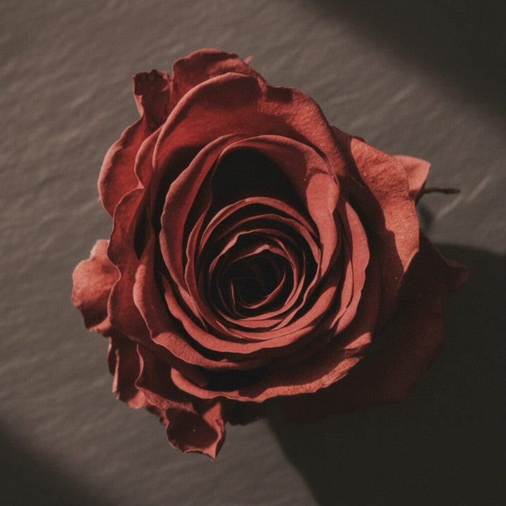 鮮やかな深紅の色を残したバラのドライフラワー。まるで生花のような美しさ。